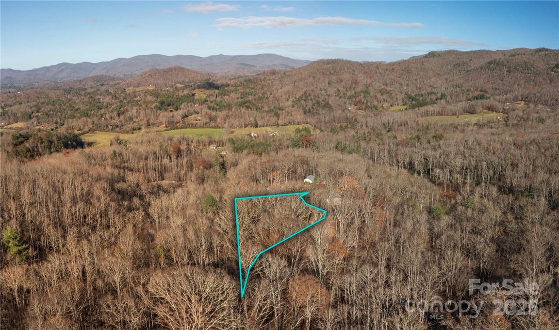 99999 Bishop Cove Road Fairview, NC 28730 - Photo 3 of 28 Gallery Image 3