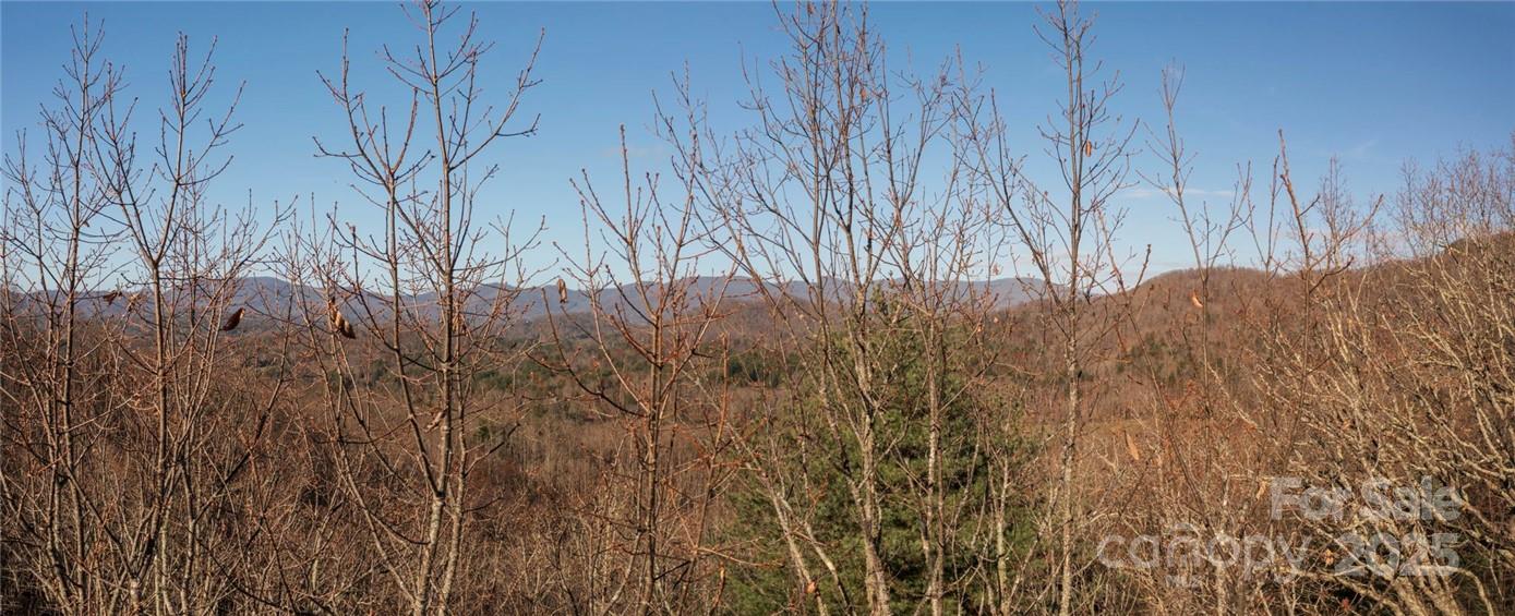 99999 Bishop Cove Road Fairview, NC 28730 - Photo 4 of 28 Gallery Image 4