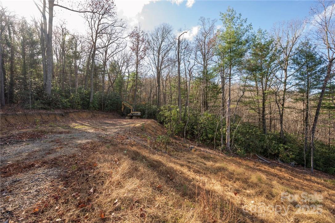 99999 Bishop Cove Road Fairview, NC 28730 - Photo 5 of 28 Gallery Image 5