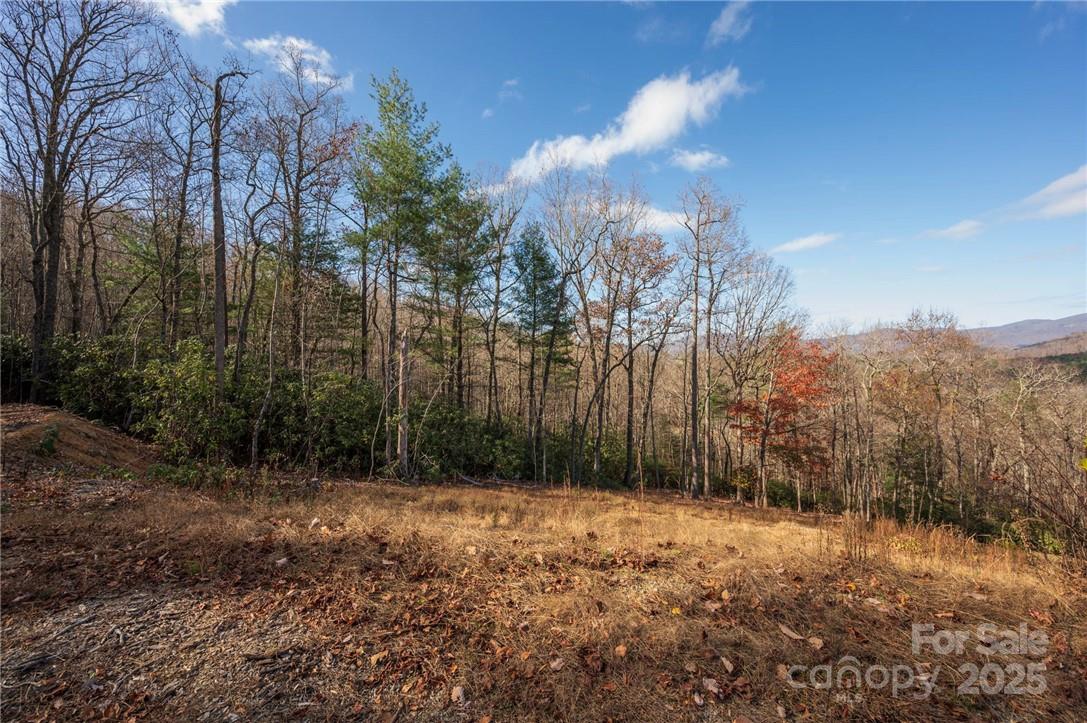99999 Bishop Cove Road Fairview, NC 28730 - Photo 6 of 28 Gallery Image 6