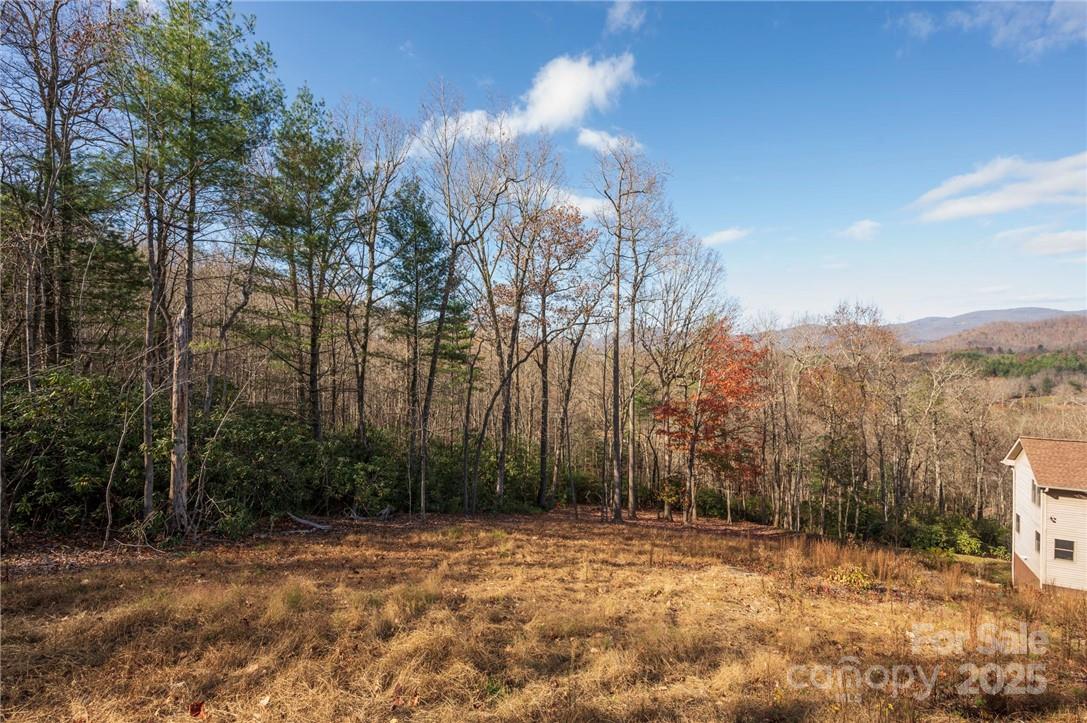 99999 Bishop Cove Road Fairview, NC 28730 - Photo 7 of 28 Gallery Image 7