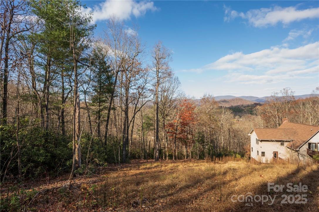 99999 Bishop Cove Road Fairview, NC 28730 - Photo 8 of 28 Gallery Image 8