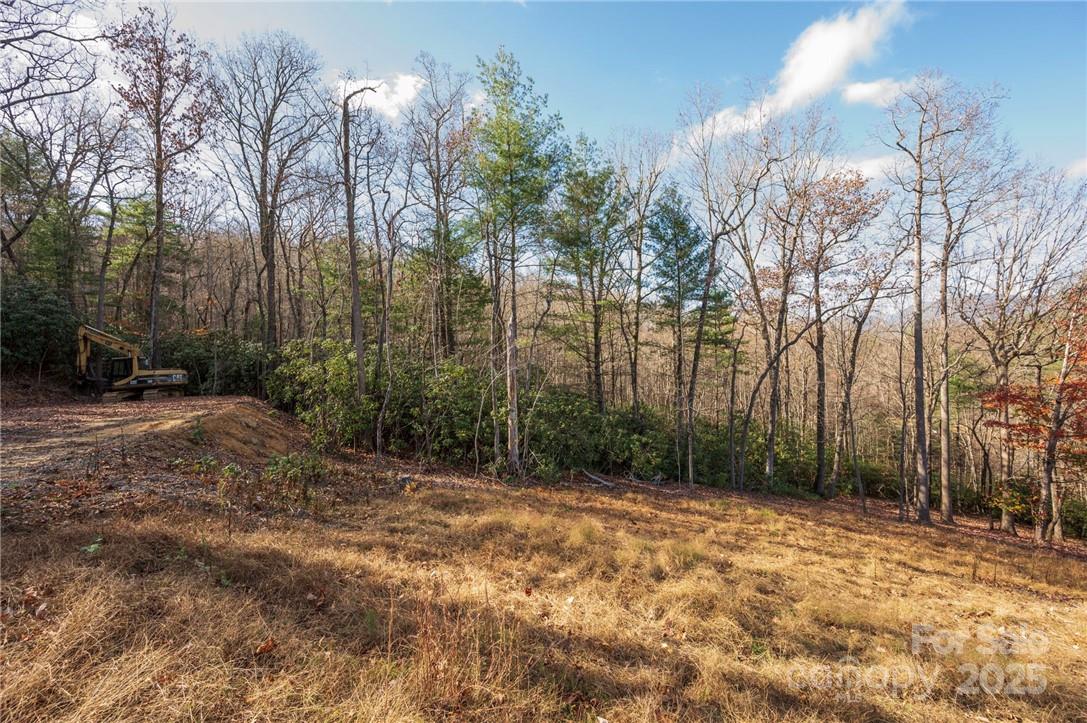 99999 Bishop Cove Road Fairview, NC 28730 - Photo 9 of 28 Gallery Image 9