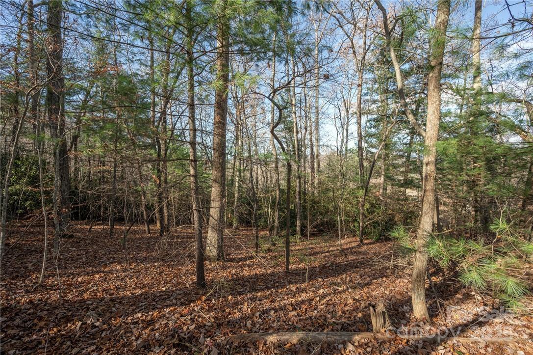 99999 Bishop Cove Road Fairview, NC 28730 - Photo 10 of 28 Gallery Image 10