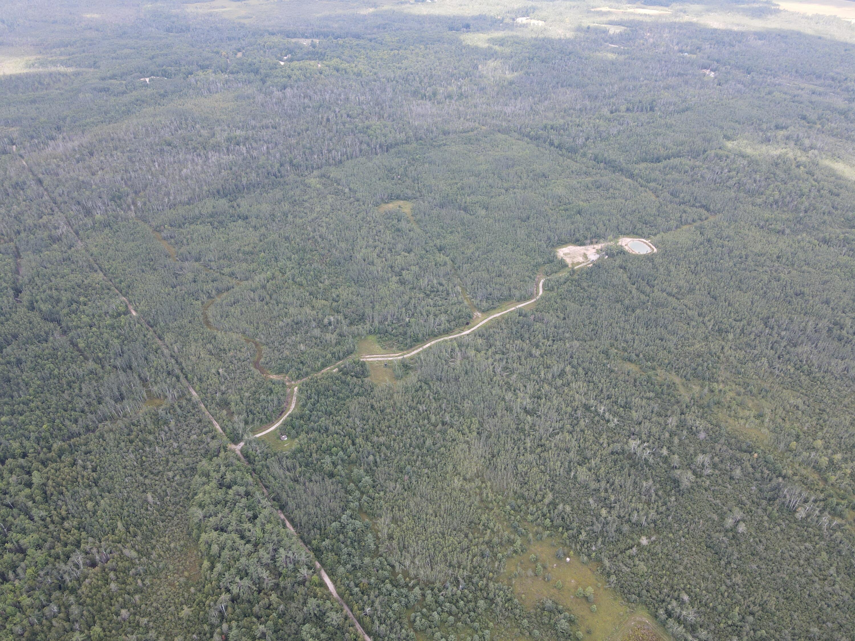 3250 Woiderski Road Cheboygan, MI 49721 - Photo 37 of 79 DJI_0613