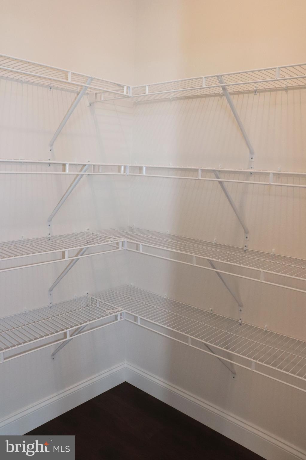 1029 Strafford Place, Unit 55 Lancaster, PA 17601 - Photo 16 of 40 a view of walk in closet
