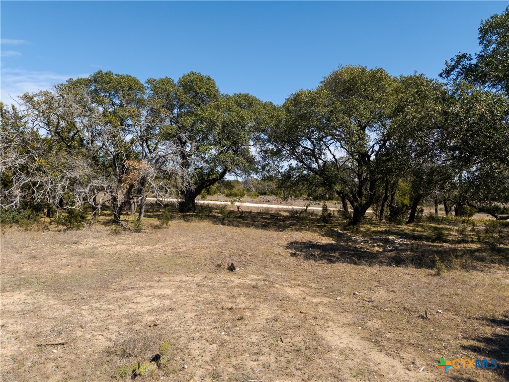 Tbd Tbd Drive Lampasas, TX 76550 - Photo 2 of 22 a view of a yard with a tree