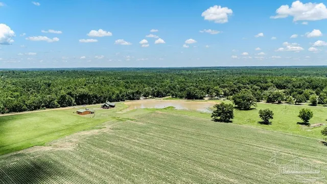 a view of a house with pool and a yard