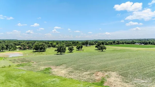 a view of a swimming pool with an ocean view