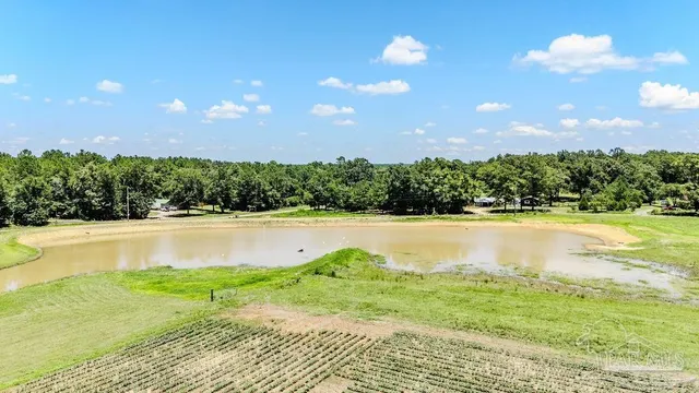 a view of a swimming pool with a yard
