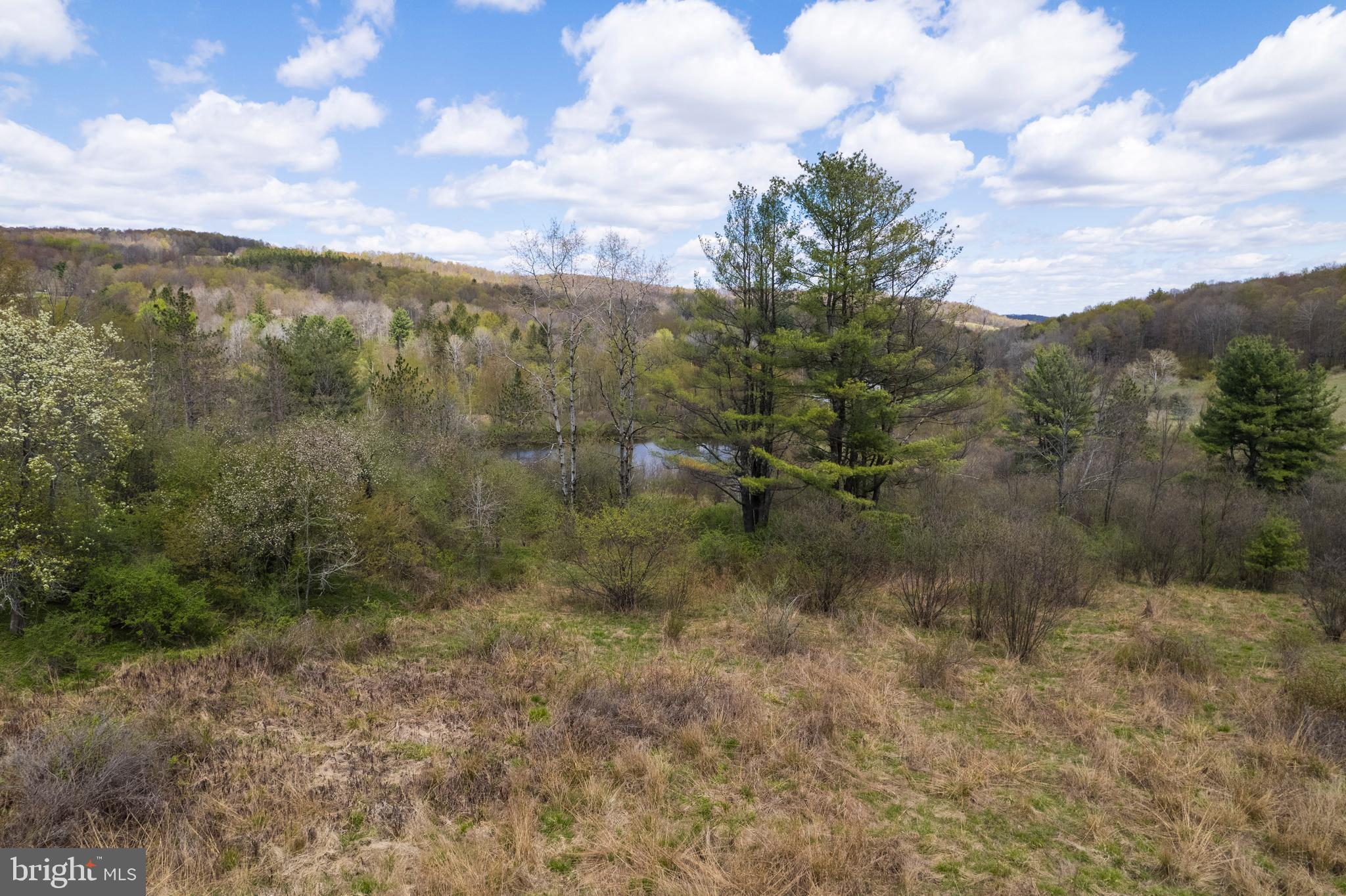 0 Holbrook Road Montrose, PA 18801 - Photo 43 of 147
