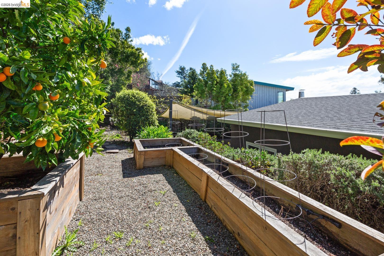 1119 Miller Avenue Berkeley, CA 94708 - Photo 32 of 33 a view of balcony with a potted plant