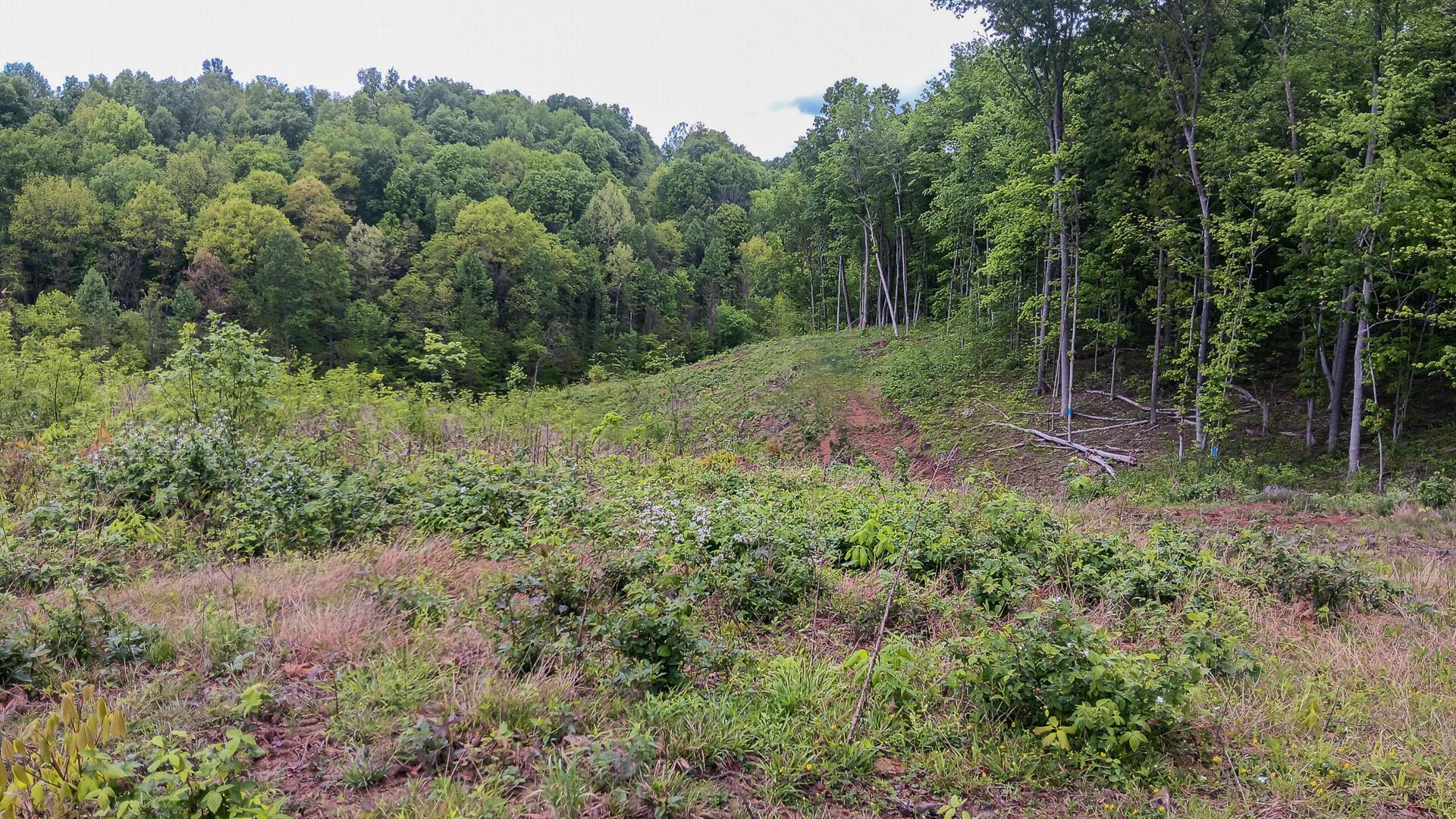 0 Hampton Hollow Road, Unit 7 ACRE TRACT) Langsville, OH 45741 - Photo 41 of 55