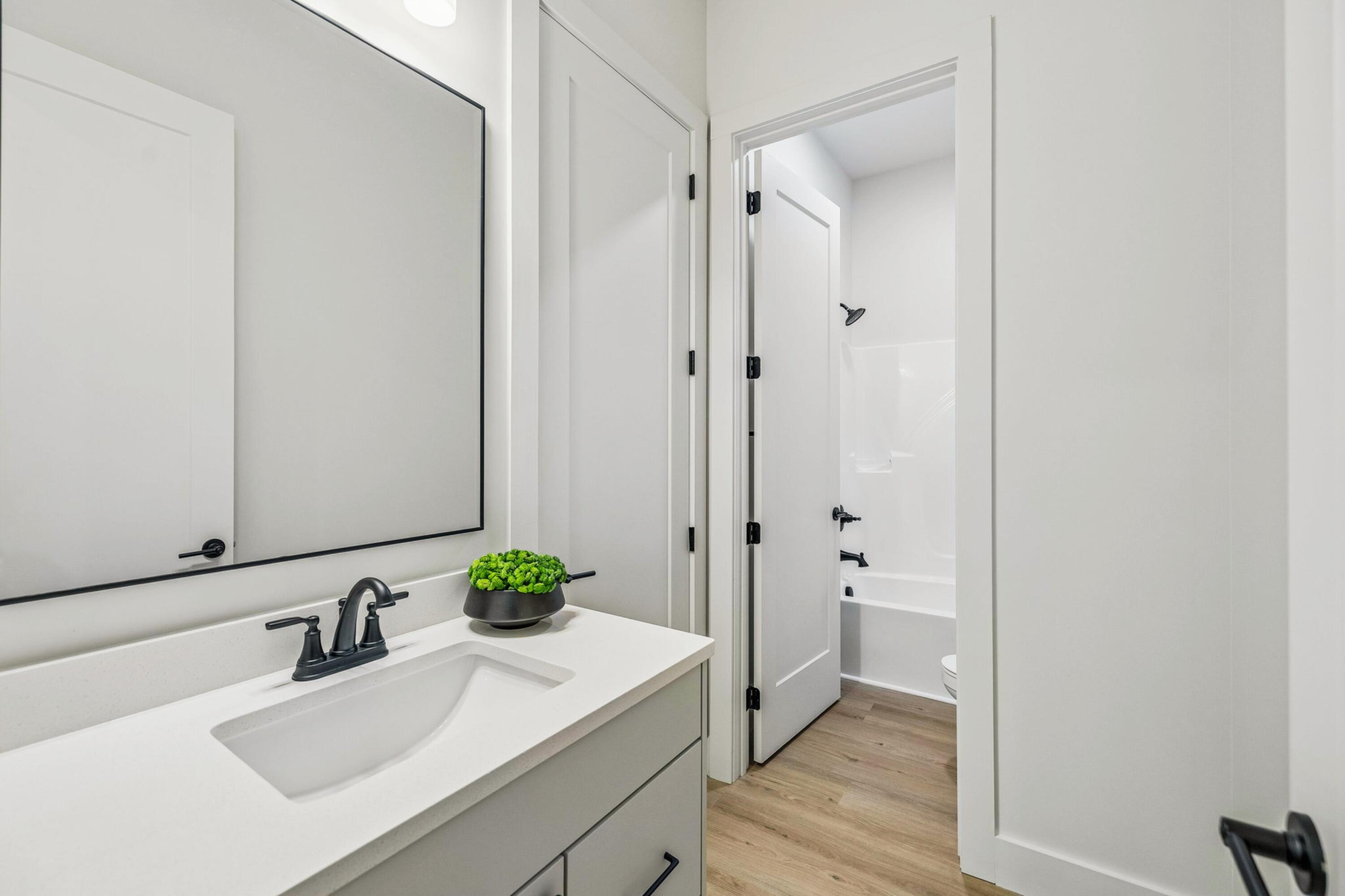 568 Wilkinson Road Northeast Cleveland, TN 37323 - Photo 37 of 67 DOWNSTAIRS BATHROOM SHARED SHOWER VIEW