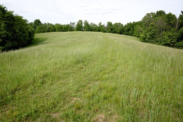 1175 Hammonds Road Ewing, KY 41039 - Photo 16 of 44 Gallery Image 16
