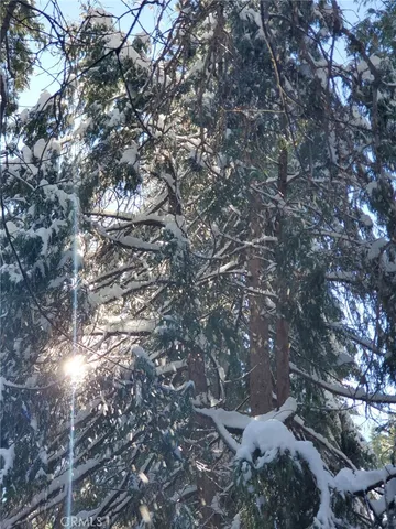 a backyard of a house
