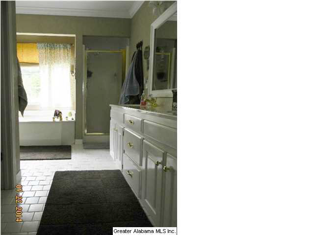 112 Longfeather Hill Alabaster, AL 35007 - Photo 21 of 32 Gallery Image 21