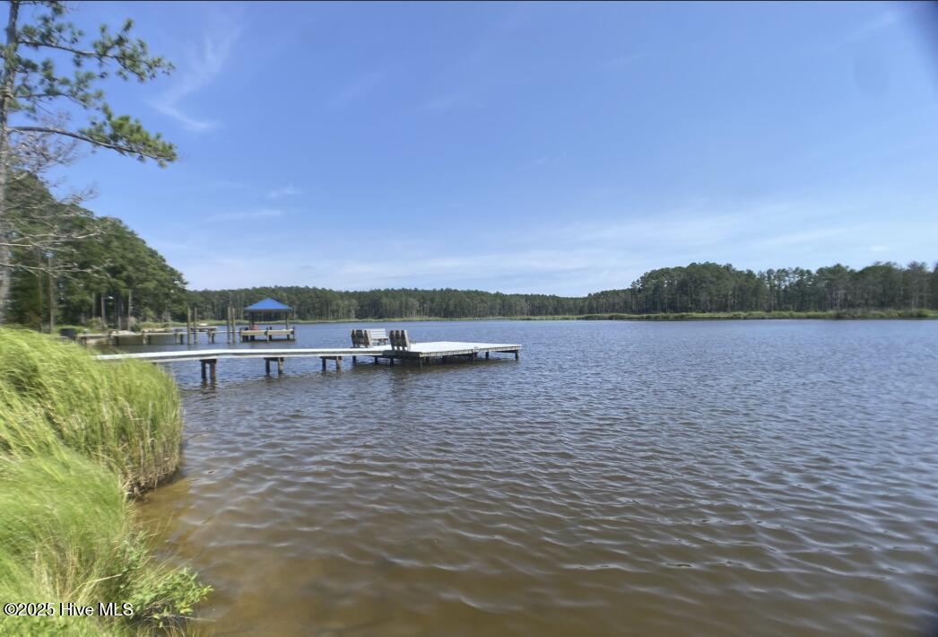 0 Windy Point Belhaven, NC 27810 - Photo 4 of 7 04 Community dock & pier