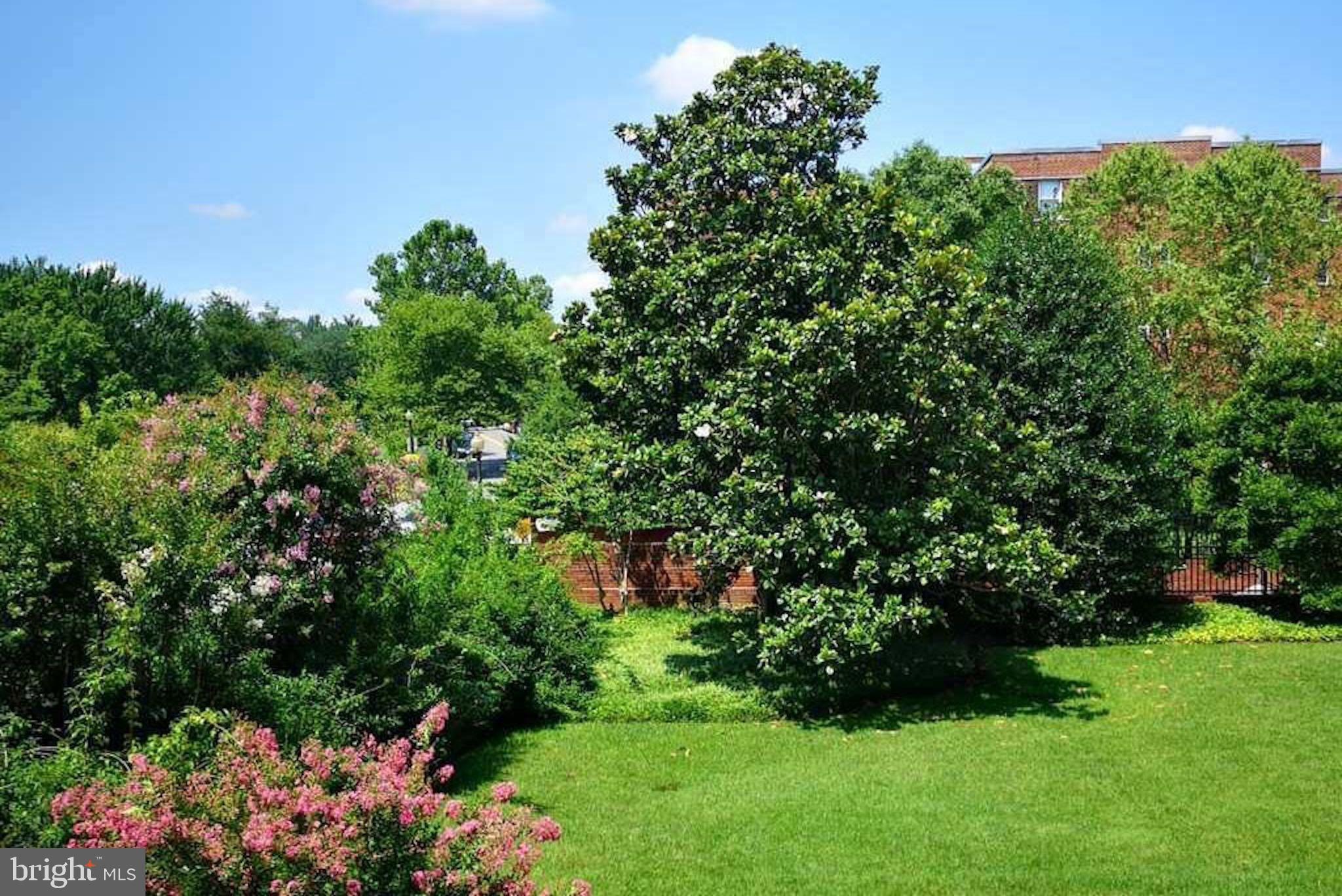 2500 Q Street Northwest, Unit 214 Washington, DC 20007 - Photo 13 of 18 a view of a garden