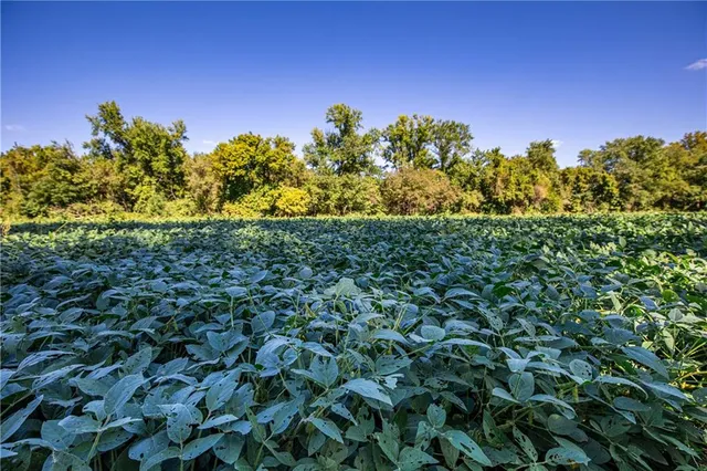 $175,000 | 17375 Queens Road, Lacygne, KS 66040