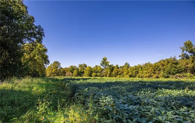 $175,000 | 17375 Queens Road, Lacygne, KS 66040