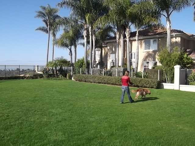 982 Merganser Lane Carlsbad, CA 92011 - Photo 19 of 20