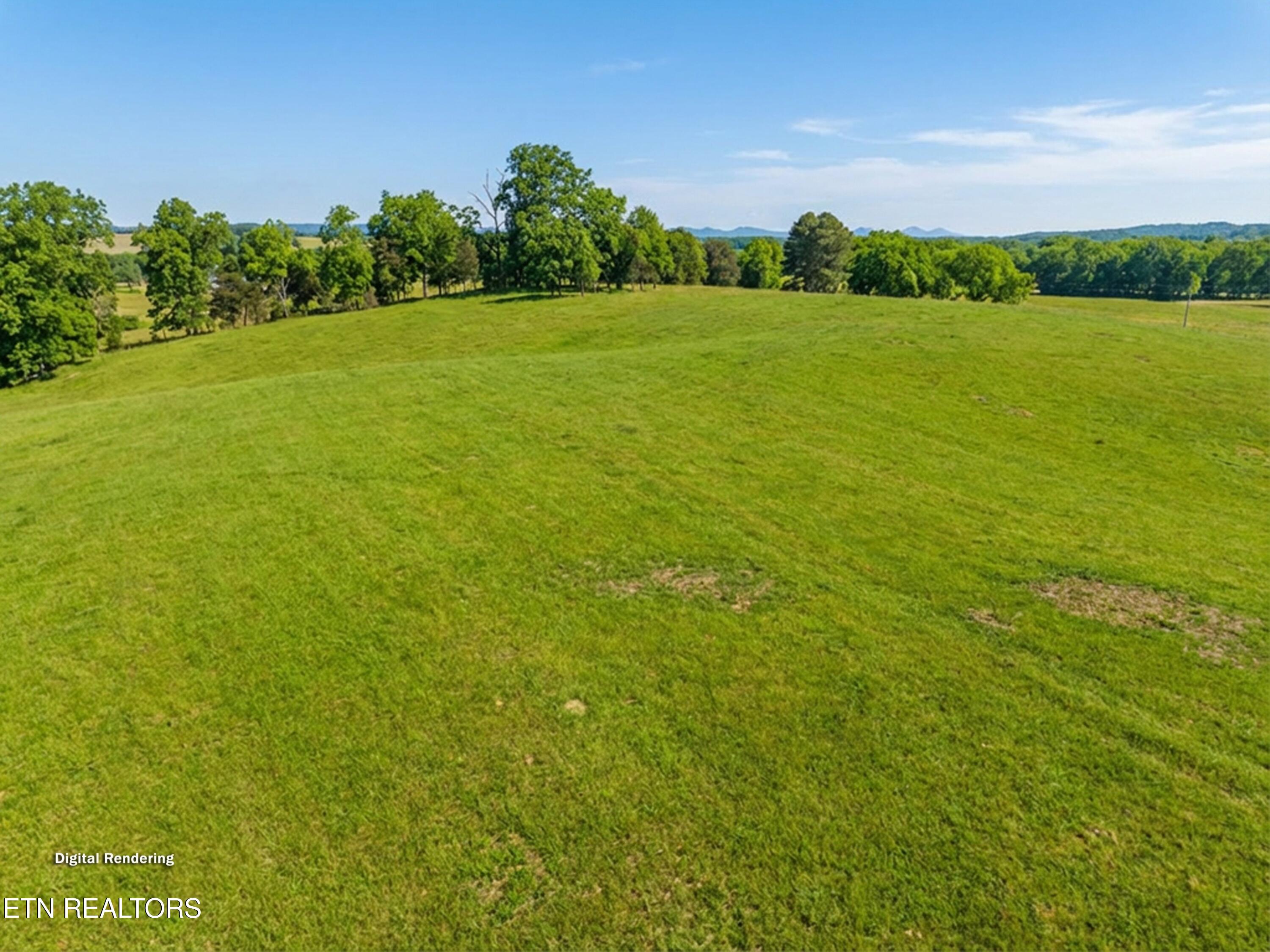 860 Yellow Springs Road Midway, TN 37809 - Photo 11 of 42 011-860YellowSpringsRoad-Midway-TN-37809