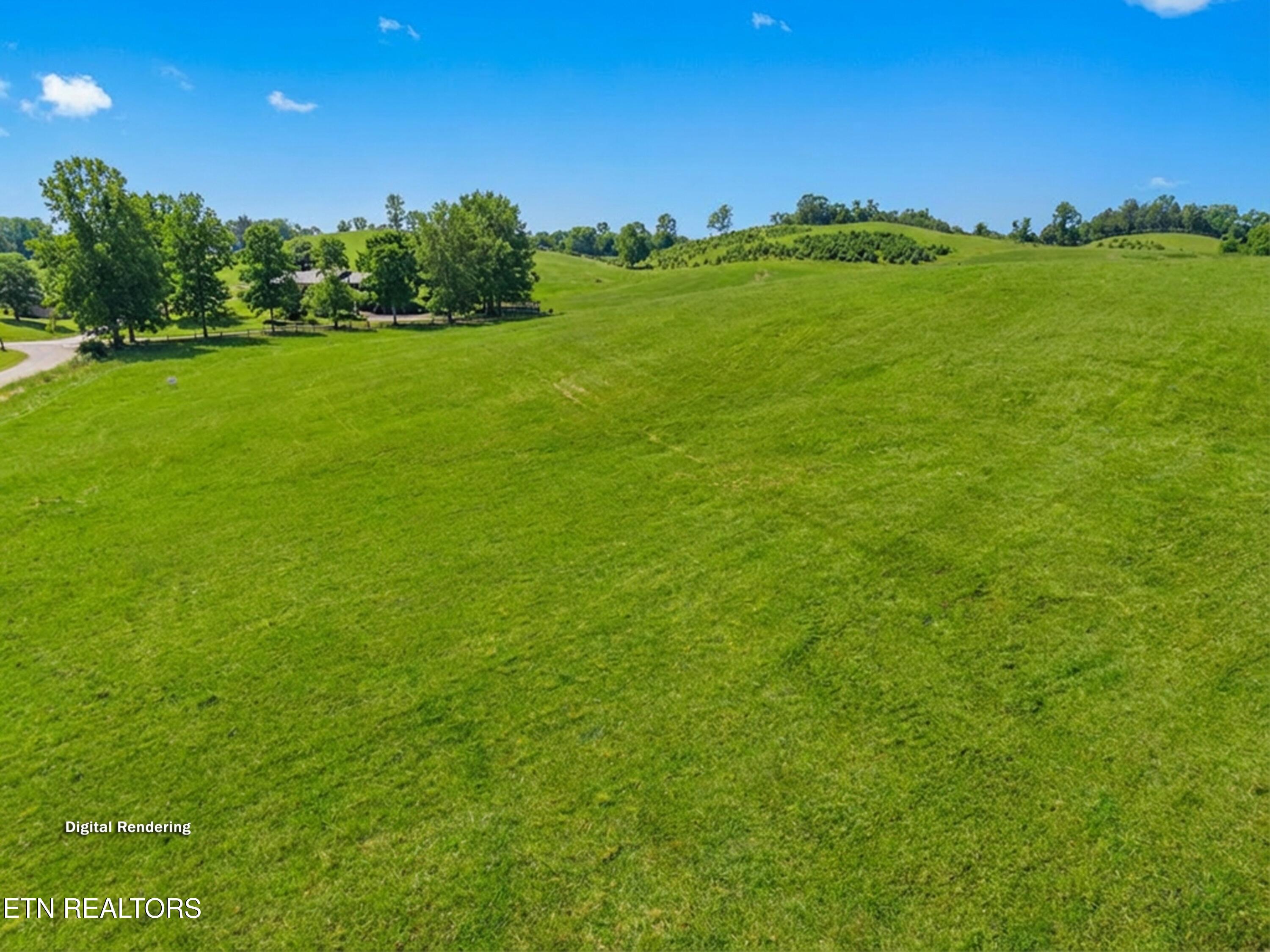 860 Yellow Springs Road Midway, TN 37809 - Photo 13 of 42 013-860YellowSpringsRoad-Midway-TN-37809