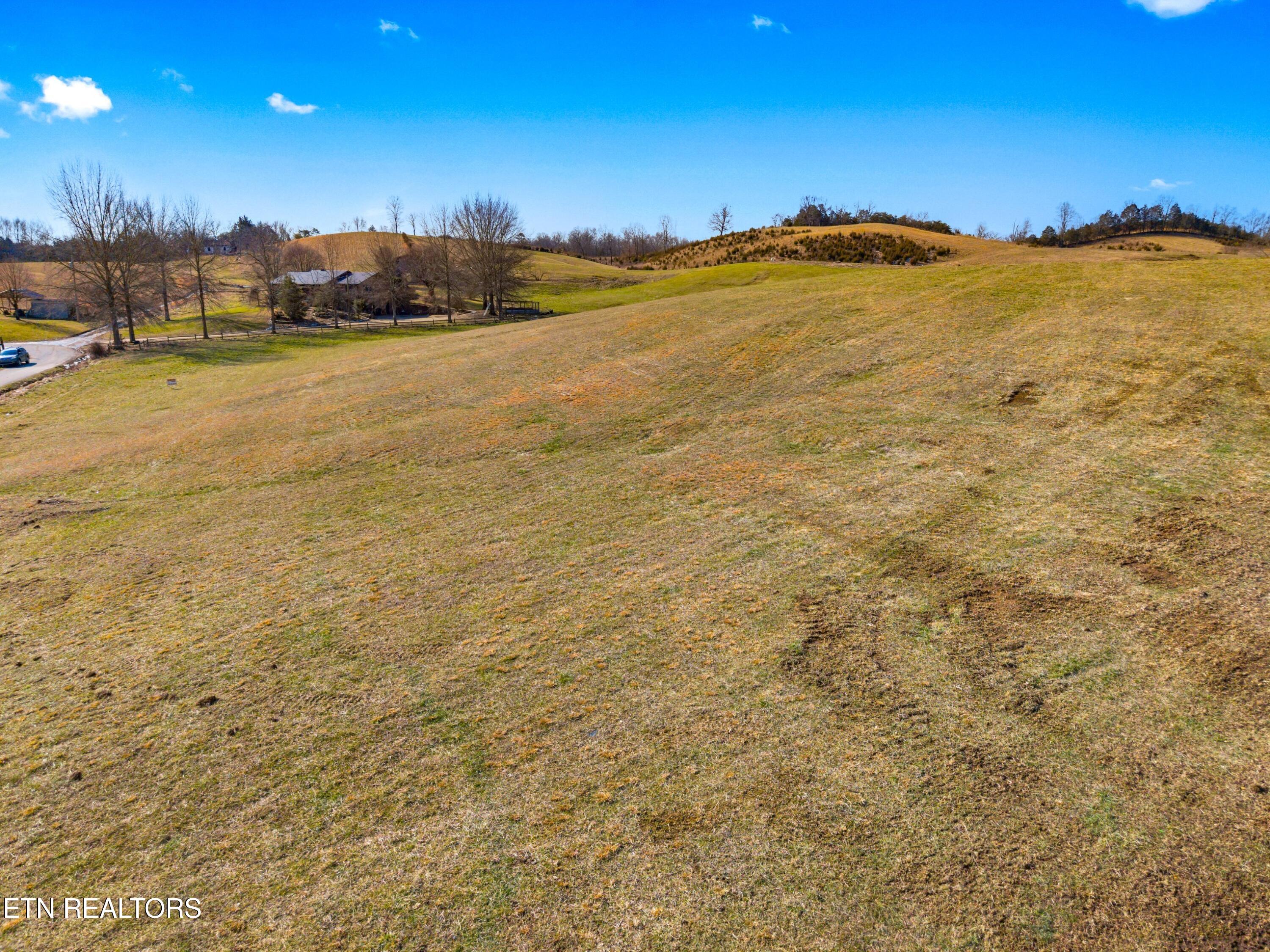 860 Yellow Springs Road Midway, TN 37809 - Photo 31 of 42 031-860YellowSpringsRoad-Midway-TN-37809