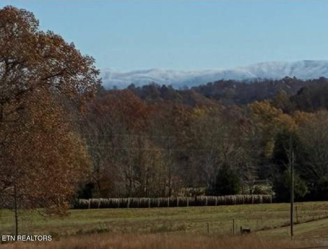 860 Yellow Springs Road Midway, TN 37809 - Photo 38 of 42 1000007939