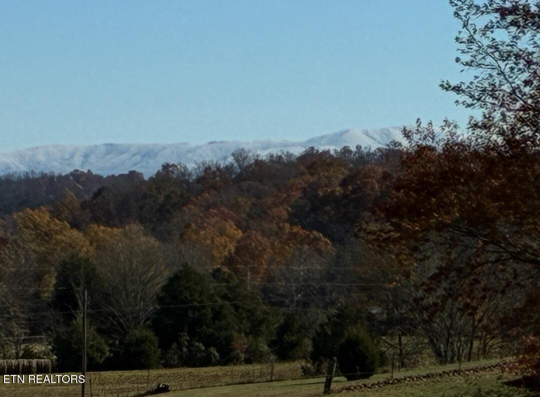 860 Yellow Springs Road Midway, TN 37809 - Photo 40 of 42 1000007944