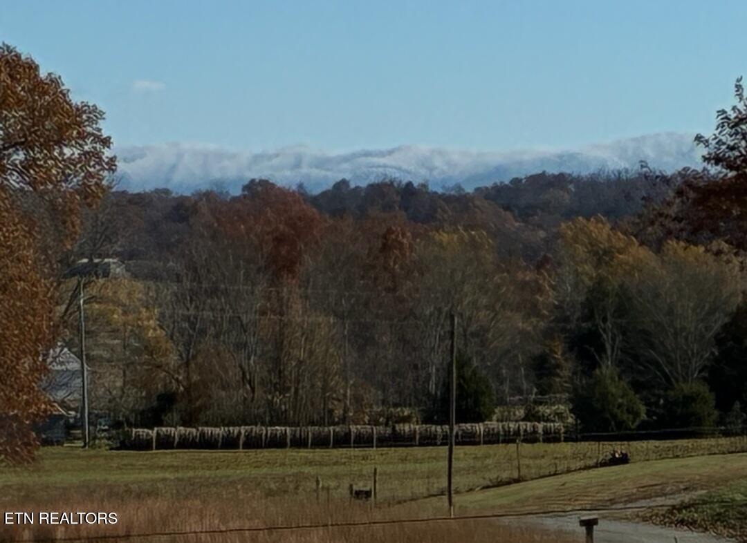 860 Yellow Springs Road Midway, TN 37809 - Photo 41 of 42 1000007942