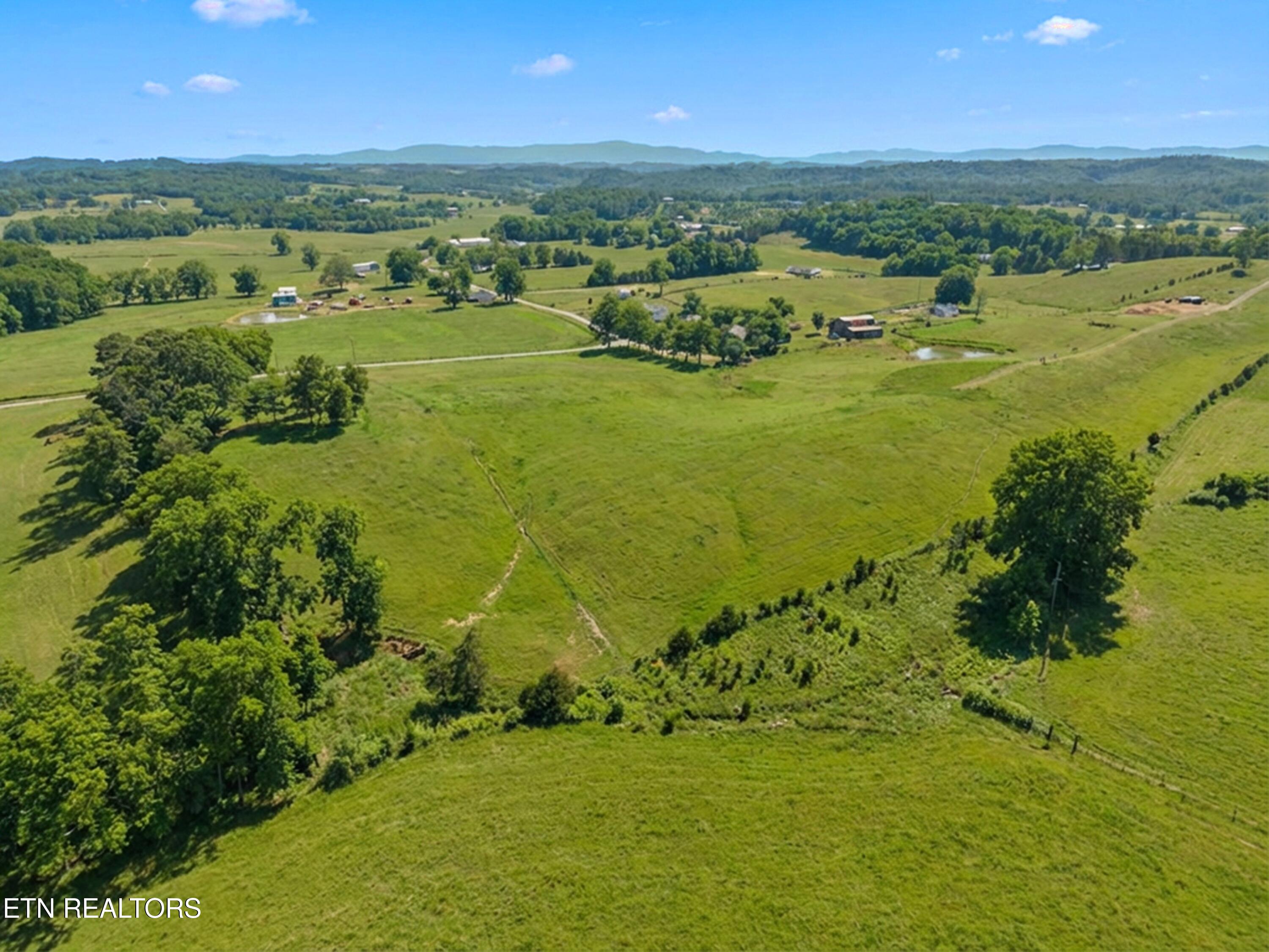 860 Yellow Springs Road Midway, TN 37809 - Photo 8 of 42 008-860YellowSpringsRoad-Midway-TN-37809