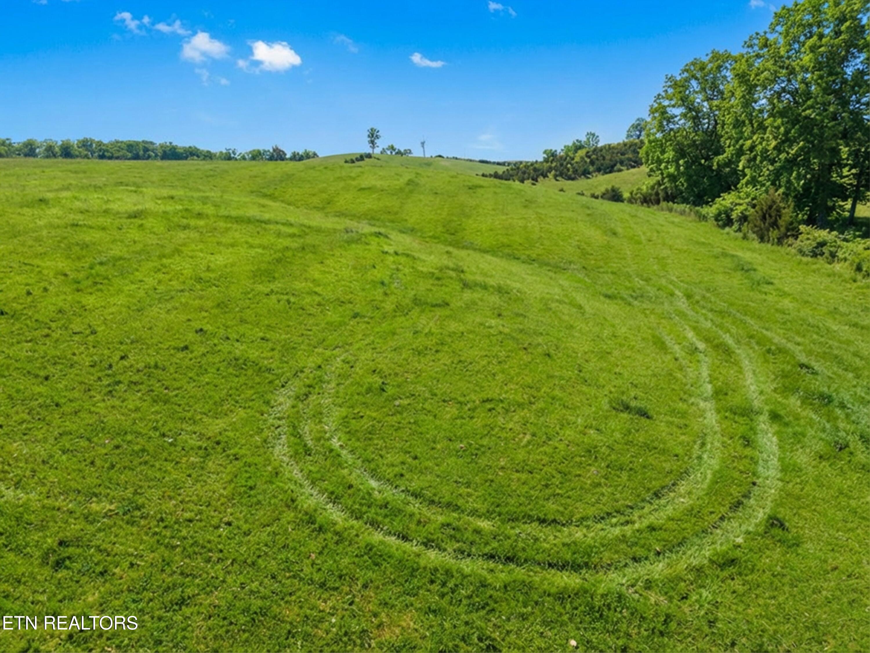 860 Yellow Springs Road Midway, TN 37809 - Photo 10 of 42 010-860YellowSpringsRoad-Midway-TN-37809