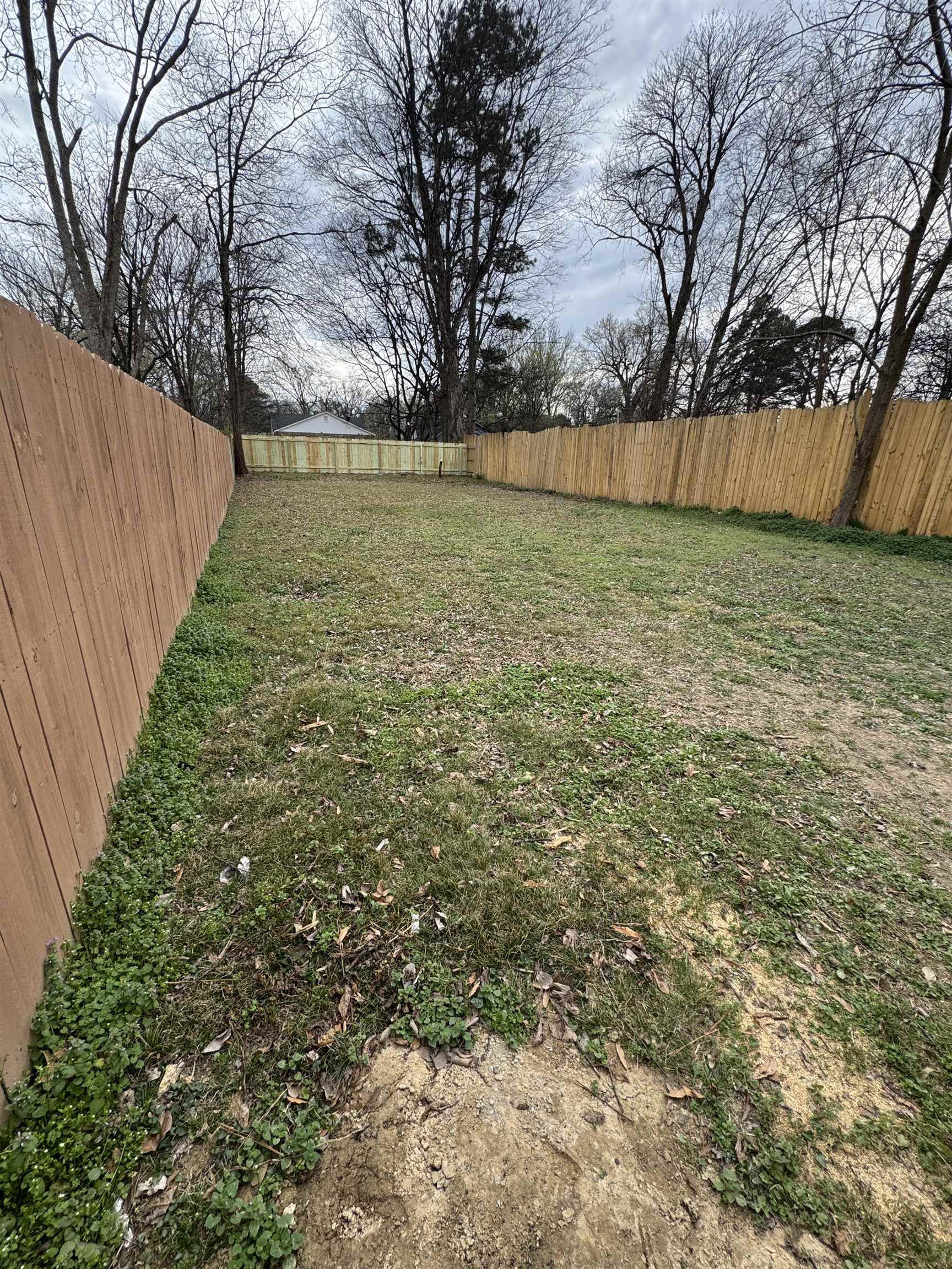 311 East Ripley Avenue Covington, TN 38019 - Photo 31 of 37 View of fenced backyard