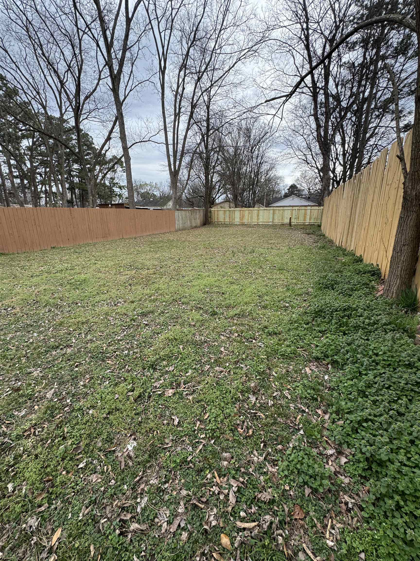 311 East Ripley Avenue Covington, TN 38019 - Photo 34 of 37 View of fenced backyard