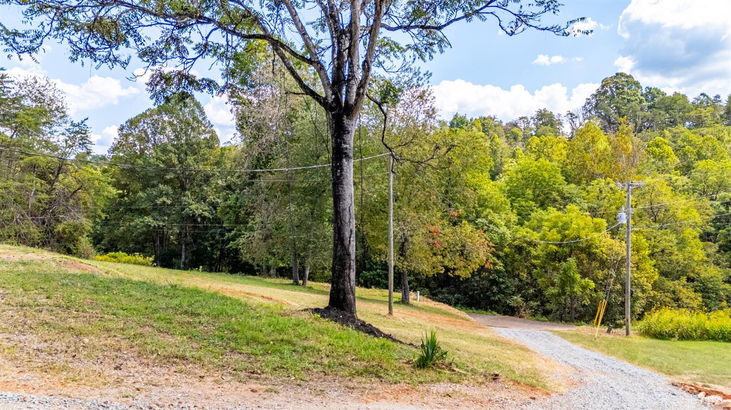 397 Dreaming Creek Road Spout Spring, VA 24538 - Photo 36 of 39 a view of a backyard