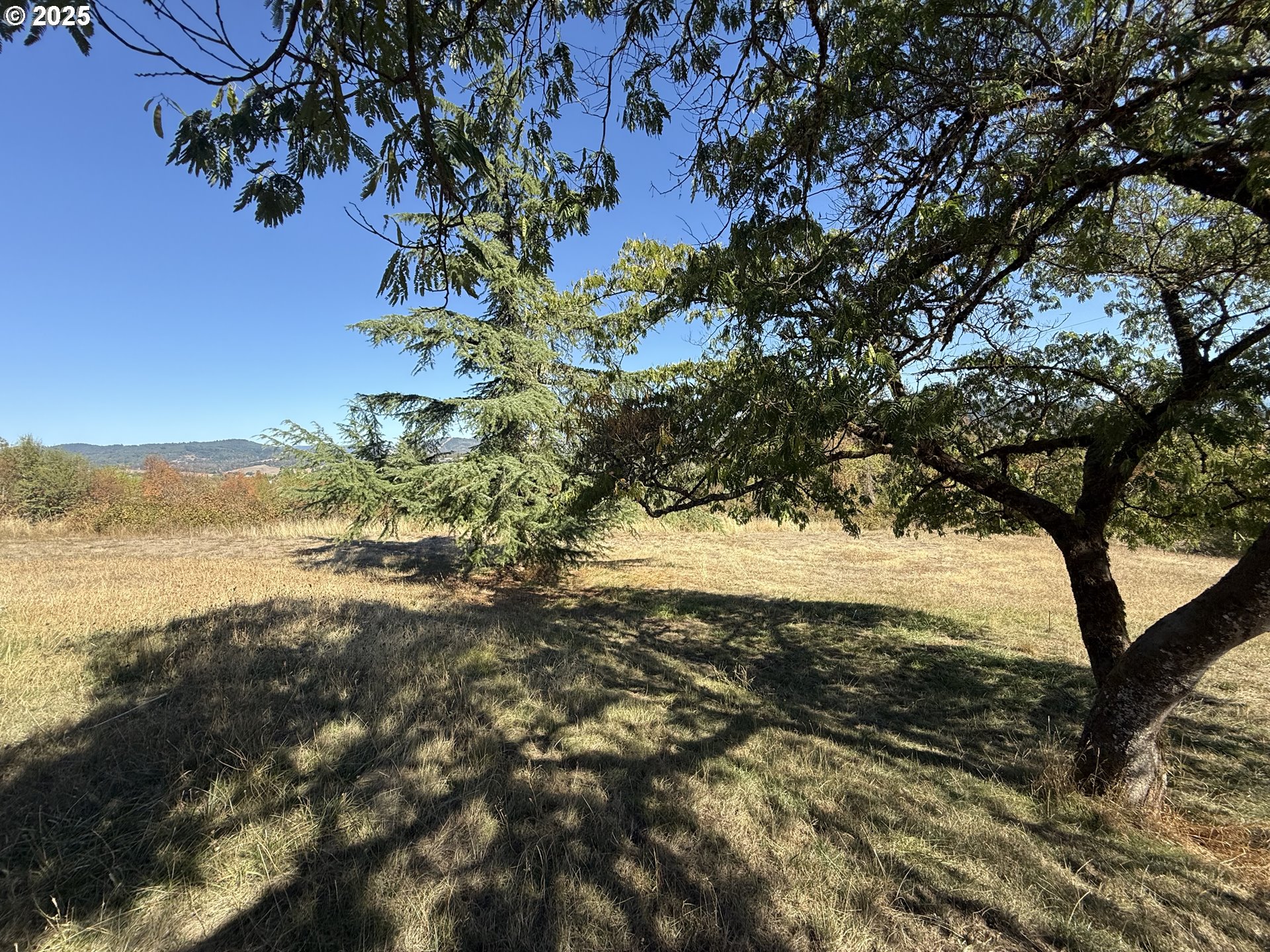 336 Schudeiske Road Sutherlin, OR 97479 - Photo 12 of 39 Gallery Image 12