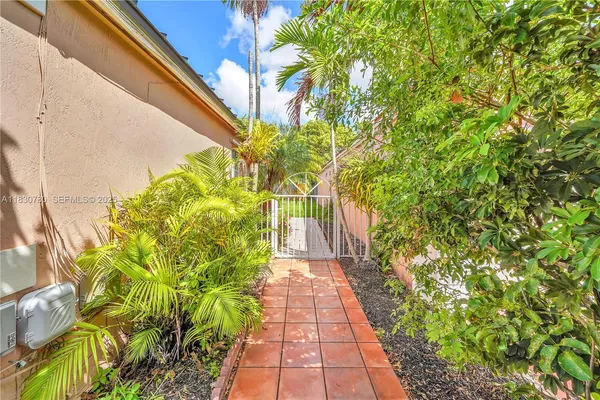 a view of a pathway with plants