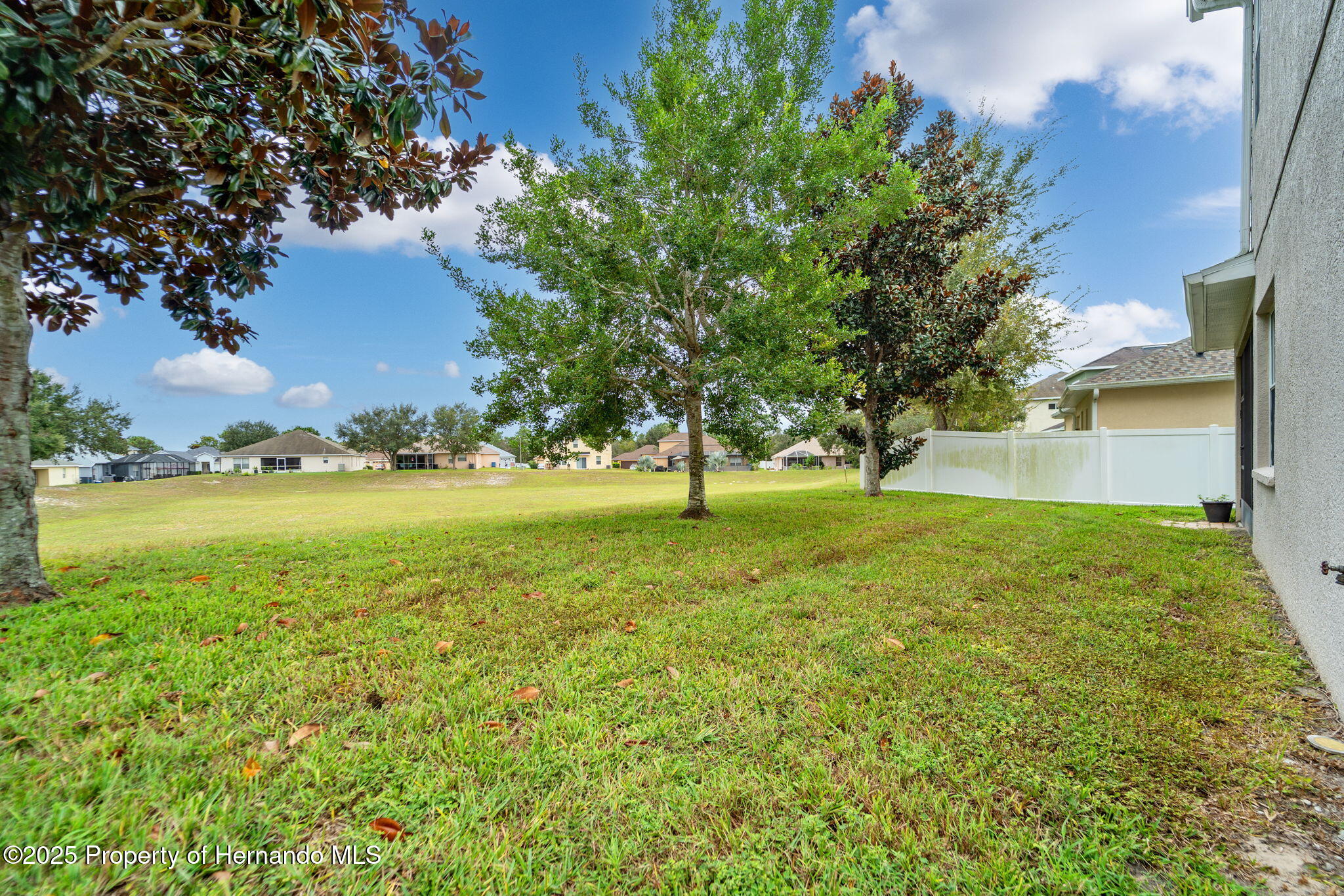 4460 Birchfield Loop Spring Hill, FL 34609 - Photo 35 of 46 39-web-or-mls-SS709515