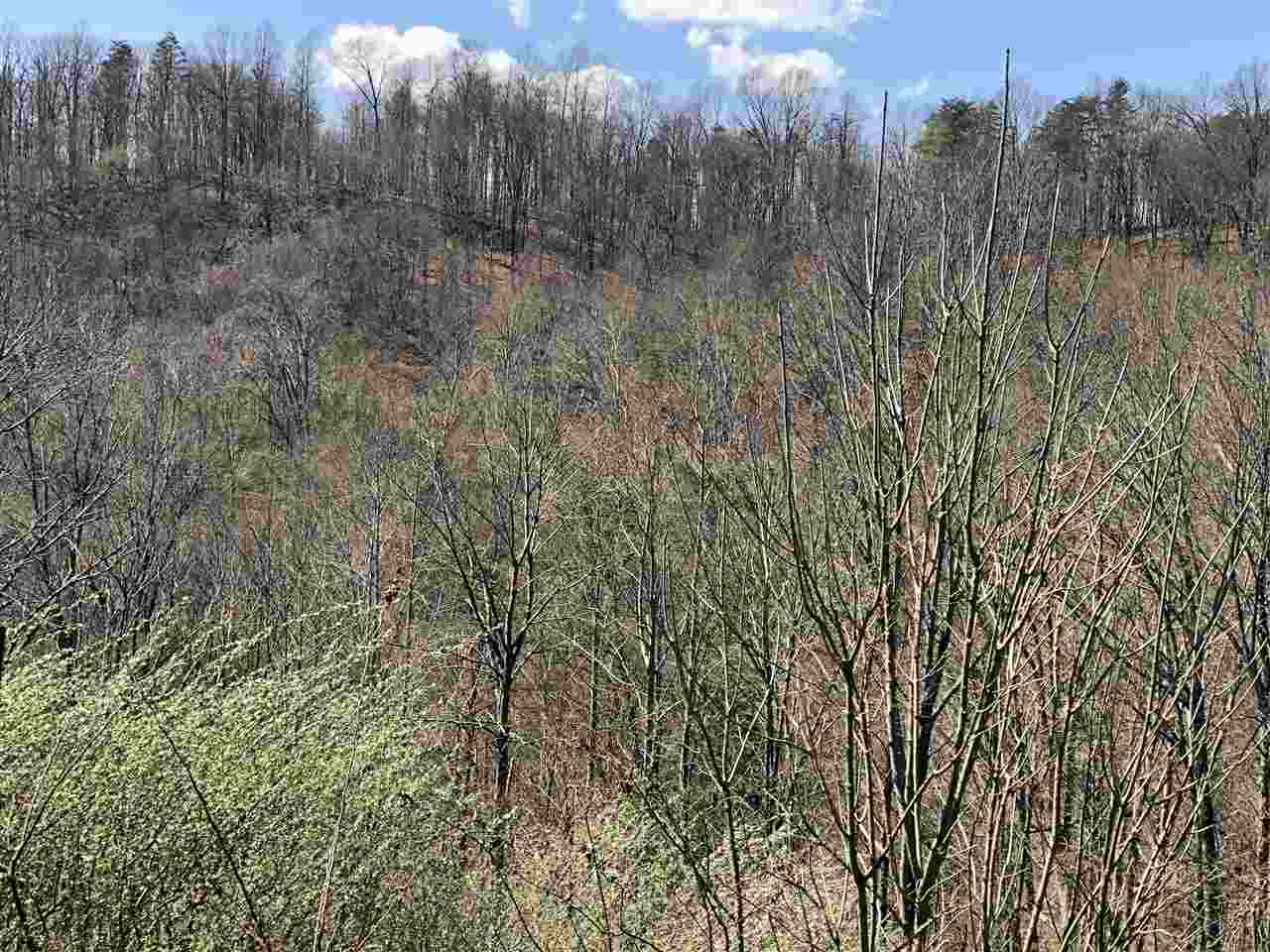0 Tribble Road Leon, WV 25123 - Photo 3 of 10 Gallery Image 3