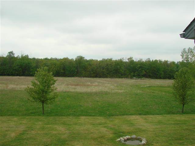 31007570-6.JPG