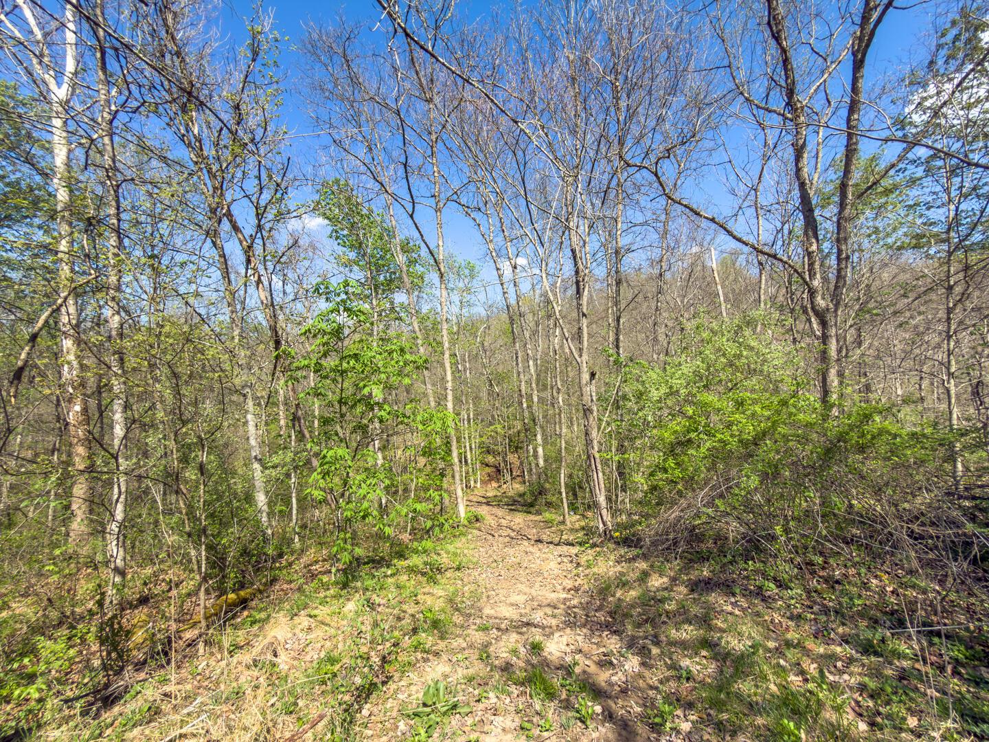 5235 Pounds Road Glouster, OH 45732 - Photo 5 of 28