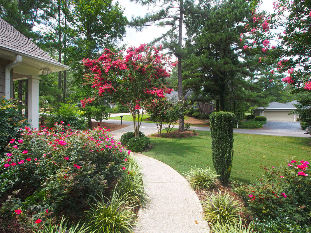 Front walkway