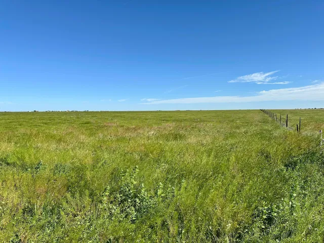 $175,000 | 0 Fm 1062 Tract 2 Canyon, Canyon, TX 79015
