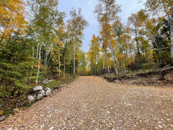 $359,000 | 5441 Ely Island North, Tower, MN 55790