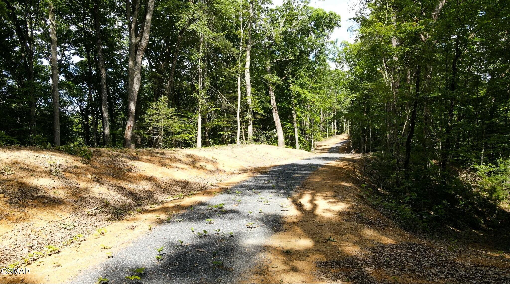 0 Little Bear Road Cosby, TN 37722 - Photo 22 of 46 Gallery Image 22