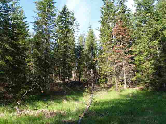 0 Rose Hill Road Springdale, WA 99173 - Photo 1 of 7