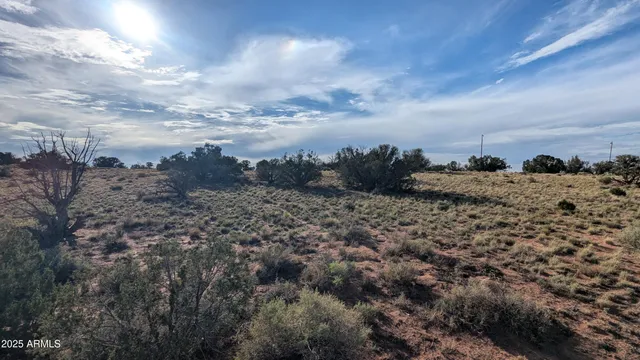 a view of a bunch of trees