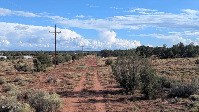 $6,175 | Lot 17 Green Valley, Unit 17, Concho, AZ 85924
